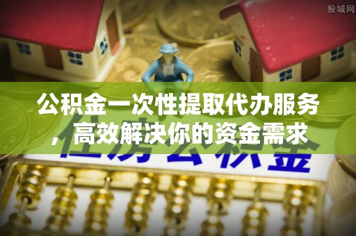 嘉荫公积金一次性提取代办服务，高效解决你的资金需求