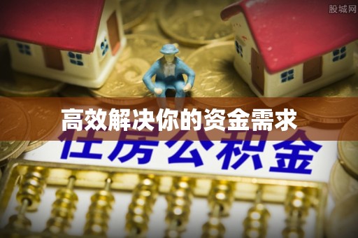 嘉荫高效解决你的资金需求