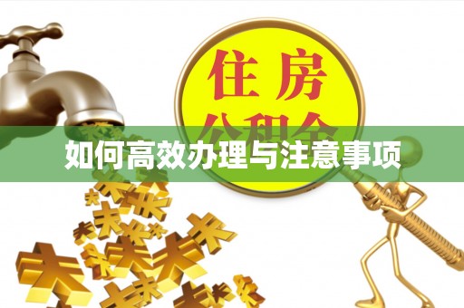 嘉荫如何高效办理与注意事项
