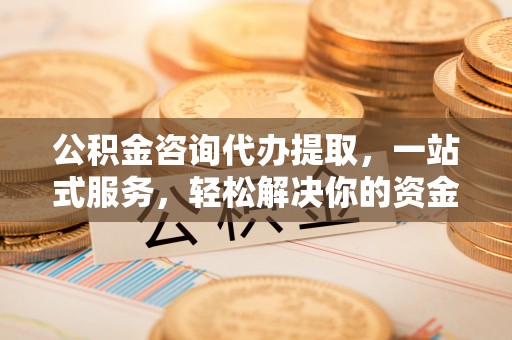 嘉荫公积金咨询代办提取，一站式服务，轻松解决你的资金难题