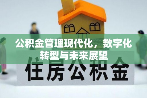 嘉荫公积金管理现代化，数字化转型与未来展望