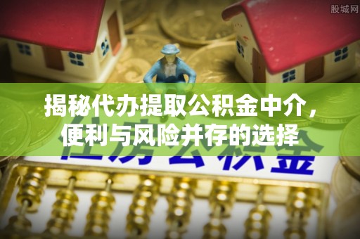 嘉荫揭秘代办提取公积金中介，便利与风险并存的选择