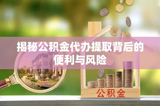 嘉荫揭秘公积金代办提取背后的便利与风险