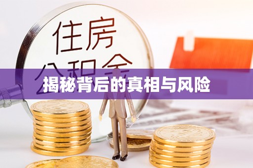 嘉荫揭秘背后的真相与风险