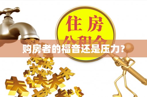 嘉荫购房者的福音还是压力？