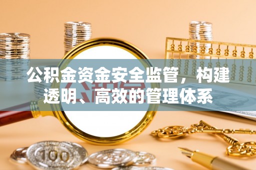 嘉荫公积金资金安全监管，构建透明、高效的管理体系