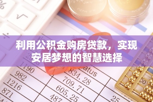 嘉荫利用公积金购房贷款，实现安居梦想的智慧选择