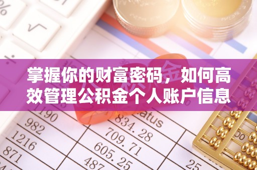嘉荫掌握你的财富密码，如何高效管理公积金个人账户信息