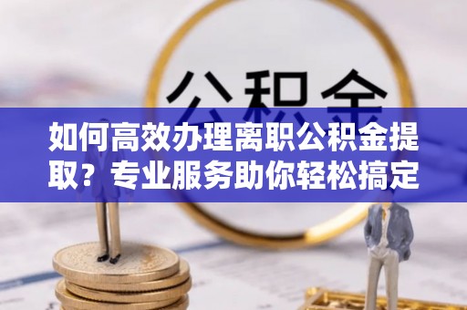 嘉荫如何高效办理离职公积金提取？专业服务助你轻松搞定