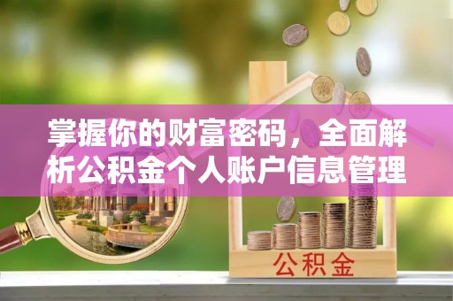 嘉荫掌握你的财富密码，全面解析公积金个人账户信息管理