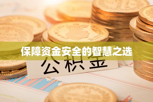 嘉荫保障资金安全的智慧之选