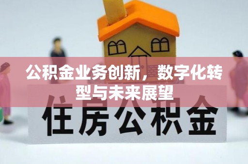 嘉荫公积金业务创新，数字化转型与未来展望