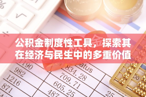 嘉荫公积金制度性工具，探索其在经济与民生中的多重价值