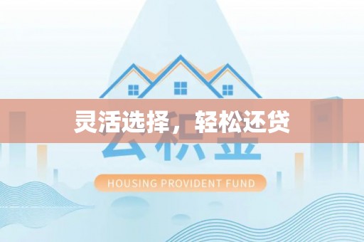 嘉荫灵活选择，轻松还贷