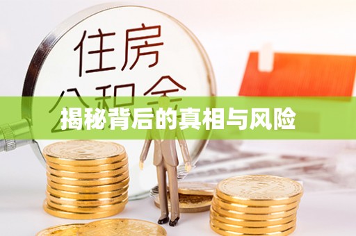 嘉荫揭秘背后的真相与风险