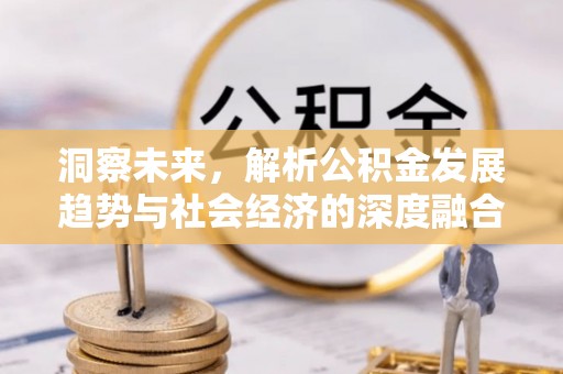 嘉荫洞察未来，解析公积金发展趋势与社会经济的深度融合