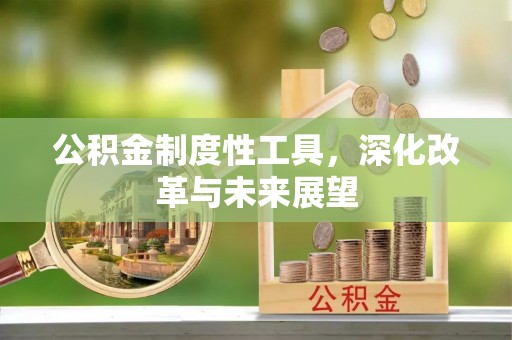 嘉荫公积金制度性工具，深化改革与未来展望