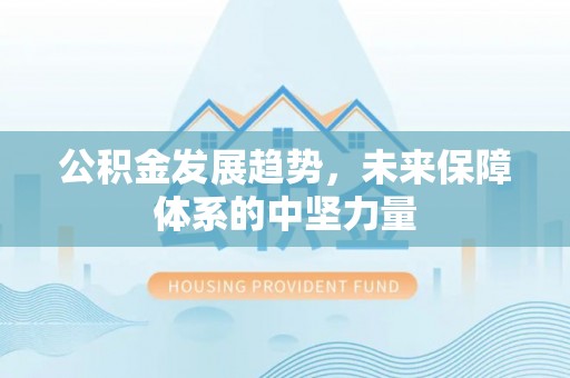 嘉荫公积金发展趋势，未来保障体系的中坚力量