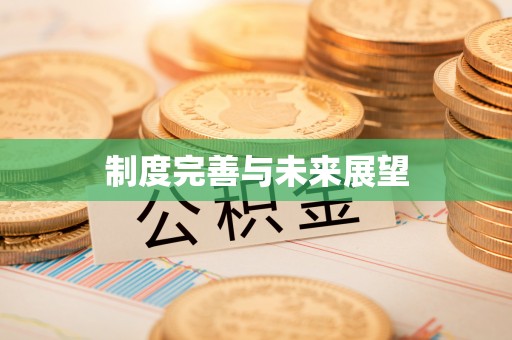 嘉荫制度完善与未来展望