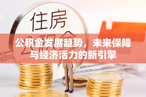 嘉荫公积金发展趋势，未来保障与经济活力的新引擎