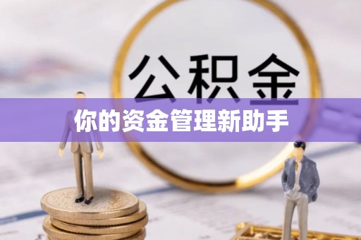 嘉荫你的资金管理新助手
