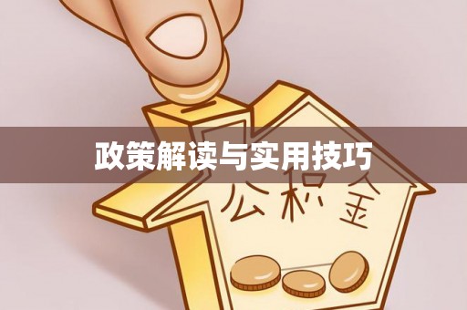 嘉荫政策解读与实用技巧