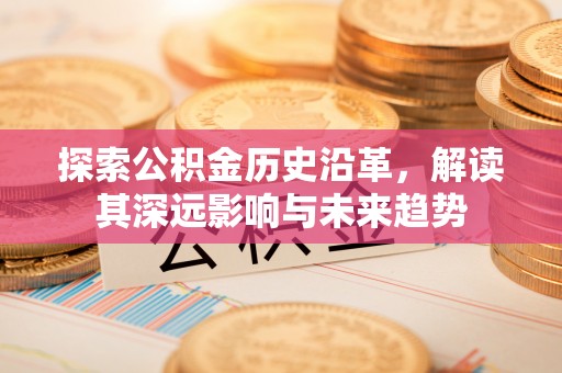 嘉荫探索公积金历史沿革，解读其深远影响与未来趋势