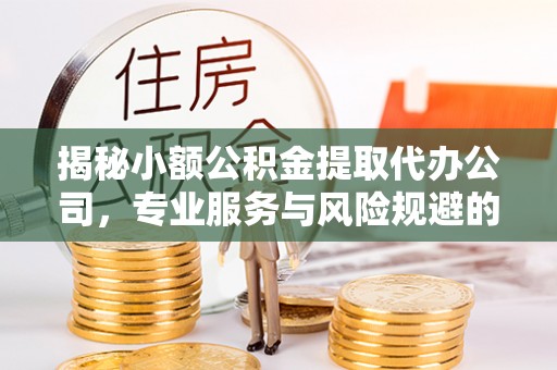 嘉荫揭秘小额公积金提取代办公司，专业服务与风险规避的平衡艺术
