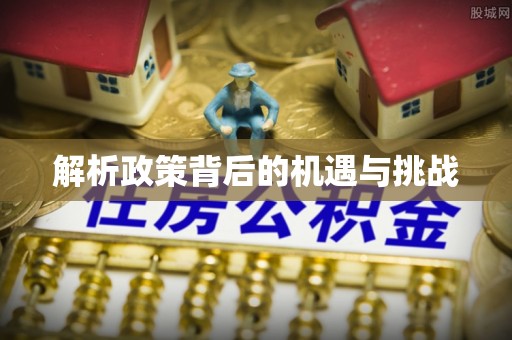 嘉荫解析政策背后的机遇与挑战