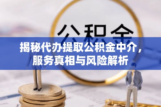 嘉荫揭秘代办提取公积金中介，服务真相与风险解析