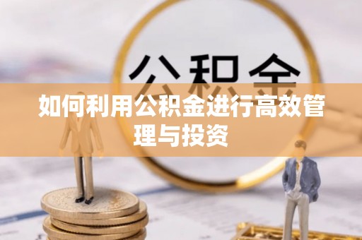 嘉荫如何利用公积金进行高效管理与投资