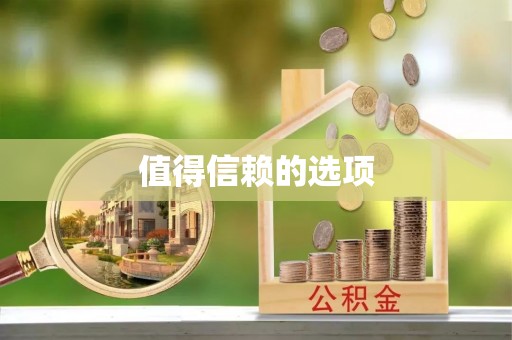 嘉荫值得信赖的选项