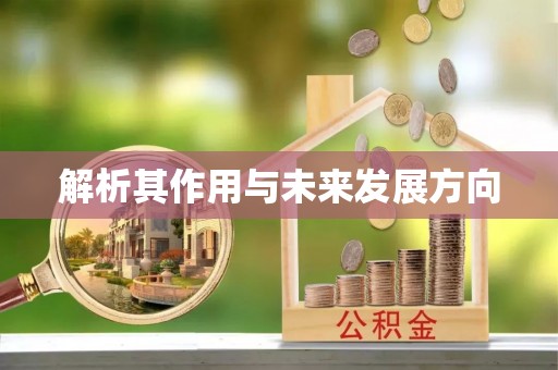 嘉荫解析其作用与未来发展方向
