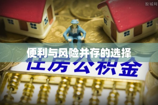 嘉荫便利与风险并存的选择