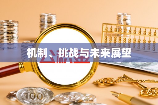 嘉荫机制、挑战与未来展望