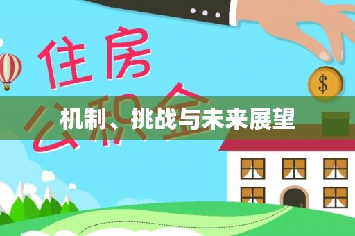 嘉荫机制、挑战与未来展望