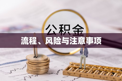 嘉荫流程、风险与注意事项