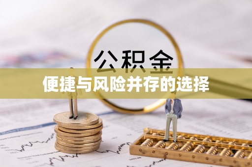 嘉荫便捷与风险并存的选择