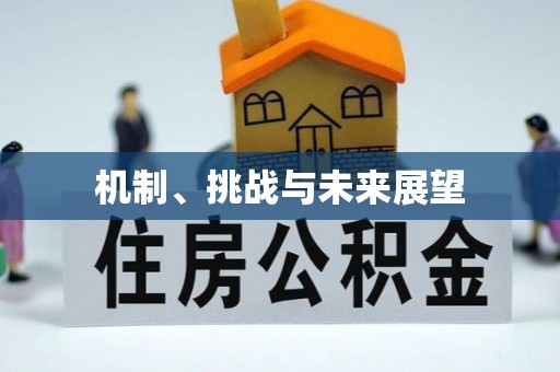 嘉荫机制、挑战与未来展望